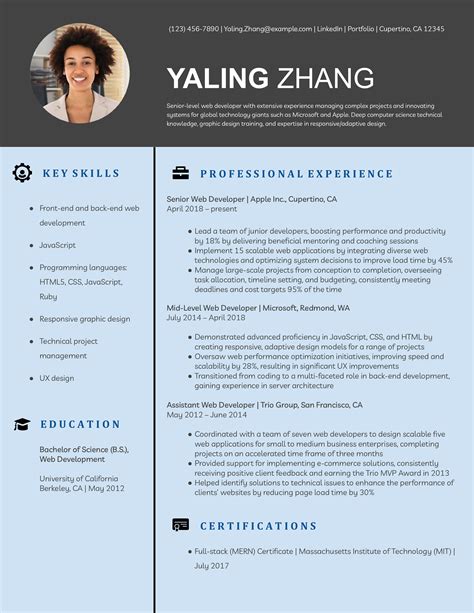 Image result for Example of Web Developer Resume