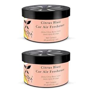 Shrida Naturals Citrus Blast Car Air Freshener Gel Pack of 2 (120g ...