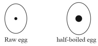 Between two eggs which have identical sizes, shapes and weights, one is ...