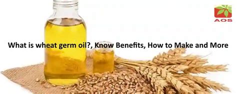 What is Wheat Germ Oil - How to Check Purity | Blog Online