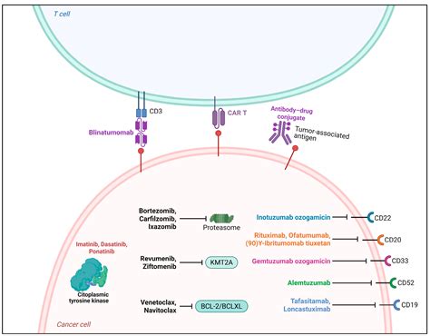 Animal Venoms as Potential Antitumor Agents Against Leukemia and Lymphoma