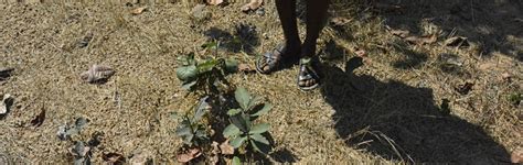 Survey Reveals Pathetic Health Conditions Around Raigarh Coal Mines ...