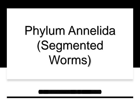 SOLUTION: Phylum annelida segmented worms - Studypool