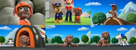 Paw Patrol S1 E19-Chase Zuma by GeeDiRosso on DeviantArt