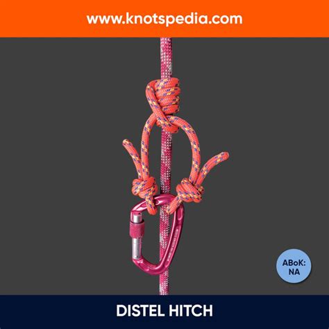 How to Tie Two Half Hitches: Step by Step Guide