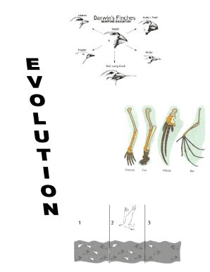 Fillable Online www.jw.orgenlibraryHas All Life Descended From a Common ...