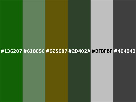 Royal green color (Hex 136207)