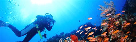 RCI Membership benefits