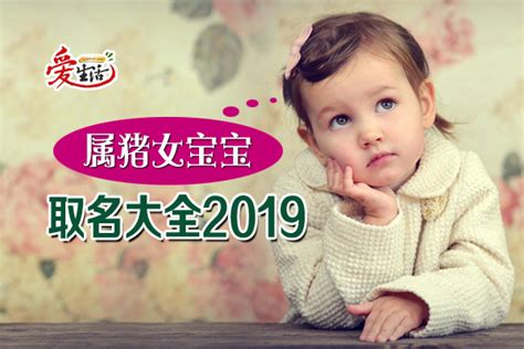 属猪女宝宝 取名大全2019 | 新生活报 - ILifePost爱生活