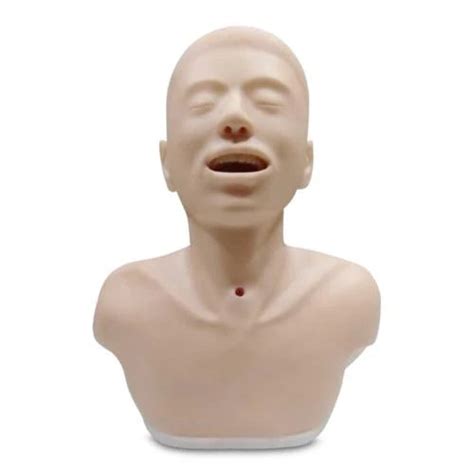 Adult Tracheostomy Care Model