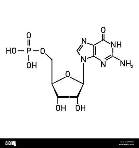 Chemical structure of DNA nucleotide. Three parts of a nucleotide. Phosphate group, pentose ...