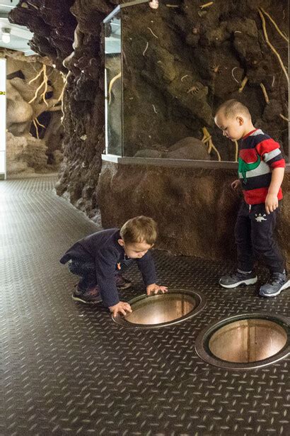 Underground Adventure | Meer