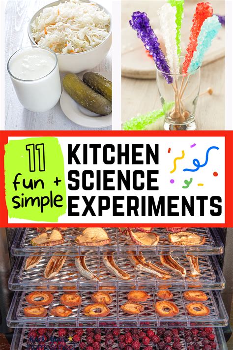 Science Experiments for Kids 的图像结果