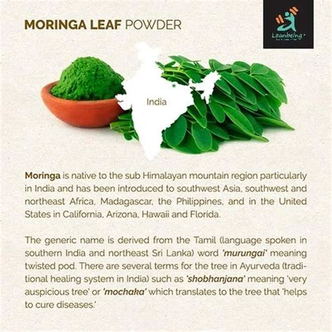 Organic Moringa (Olifera) Leaf Powder- Powerful Vitamins & Antioxidants ...
