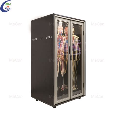 Virtual Dissection Table 的图像结果