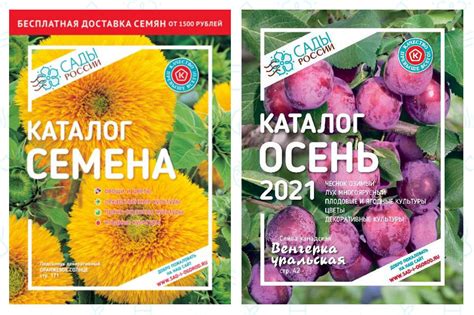 Челябинск Магазин Семена Почтой Каталог 2022 — Интернет Магазин
