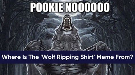 Where Is The 'Wolf Ripping Shirt' Meme From And How Did It Become A ...