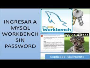 Cambiar Contrasena De MySQL Workbench 的图像结果