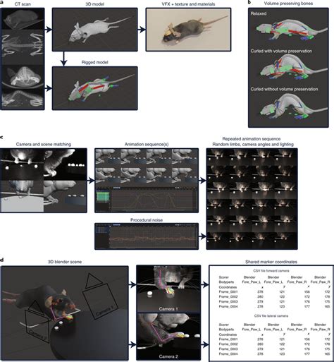 Image result for Mouse Model Reference