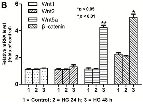 IJMS | Special Issue : Diabetic Complications: Pathophysiology ...