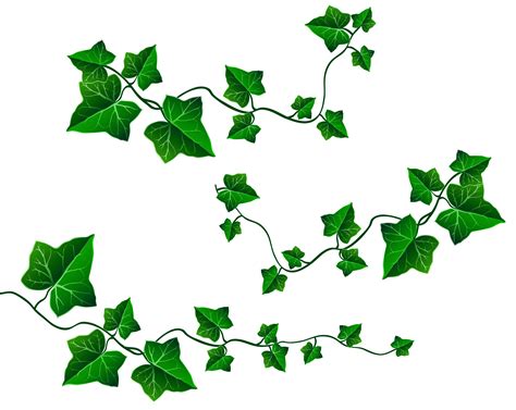 Strawberry Vine Drawing | Free download on ClipArtMag
