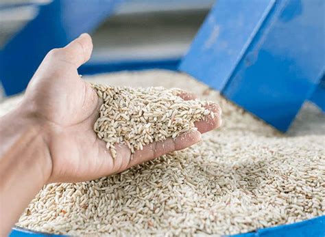 Kumar RICE Mill in Ponnur, Guntur - Best Rice Mills in Guntur - Justdial