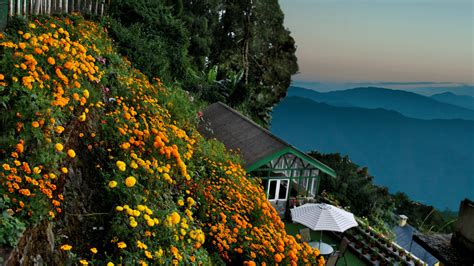 Photos | Central Gleneagles Resort Darjeeling | Darjeeling Hotel