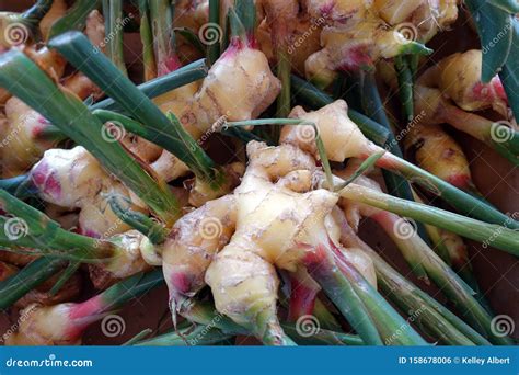 Image result for Using Fresh Ginger Root