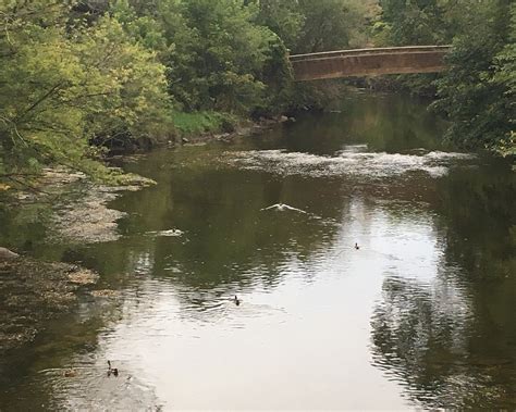 THE 30 BEST Places to Visit in Naperville (2025)