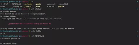 Terminal Setup on MacOS | bitbrain
