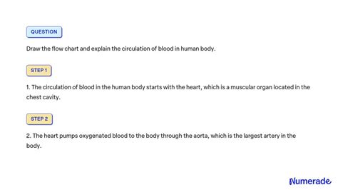 Image result for Blood Circulation Flow Chart