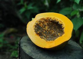 Image result for Papaya Fruit Powder
