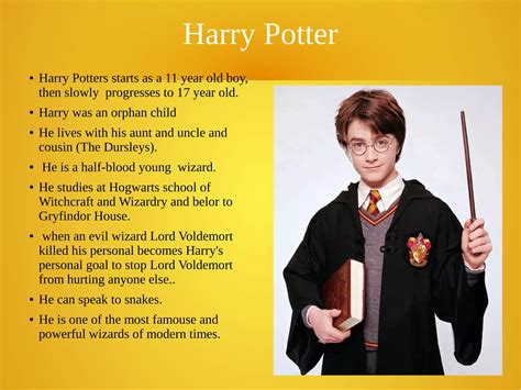 Full Story Of Harry Potter: From Orphan Boy To Hero
