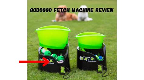 Go Dog Go Fetch Machine 的图像结果