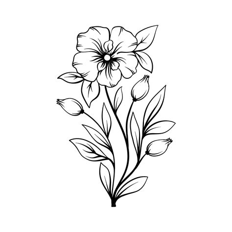 Easy Flower Drawing Outline