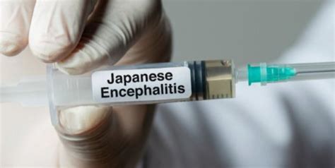Japanese Encephalitis Vaccination Drive Expanded to 7 More Districts in ...