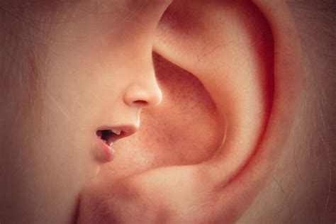 Tinnitus: Störende Ohrgeräusche - gesund-aktuell.net
