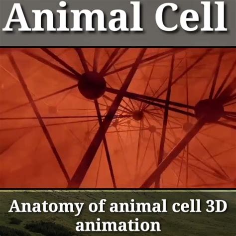 Image result for Blender Cell Animation Tutorial YouTube