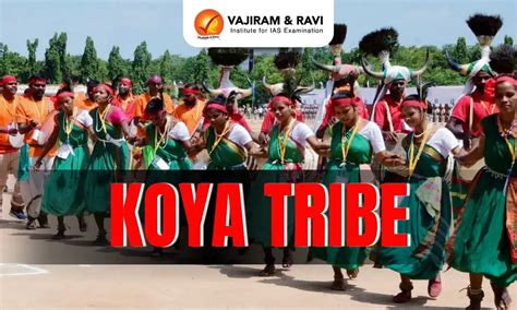 Koya Tribe, State, Language, Occupation, Culture, News