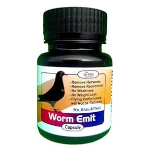Pigeon Deworming Medicine Worm Emit Caps. No Any Side-Effects (100 ...