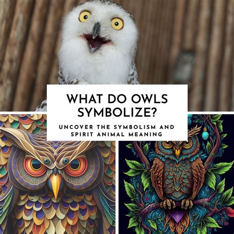 What Does A Owl Symbolize For at Alyssa Wekey blog