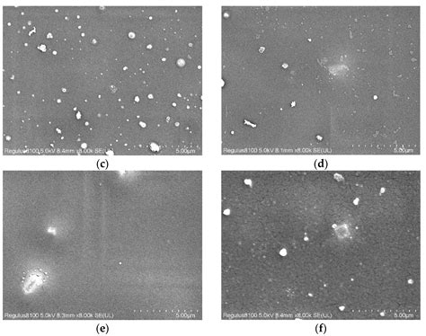 Effects of Processing Conditions and Plasticizing-Reinforcing ...