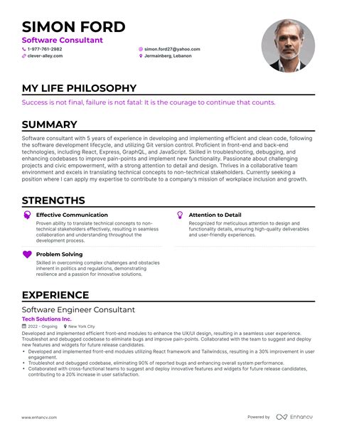 3 Successful Software Consultant Resume Examples And Writing Tips for 2024