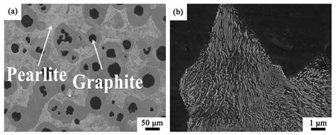 Microstructures and Mechanical Properties of Ductile Cast Iron with ...