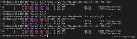 Redis Cluster Tutorial 的图像结果