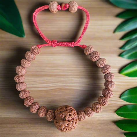 4 Mukhi Rudraksha bracelet – Kalyanastrogems