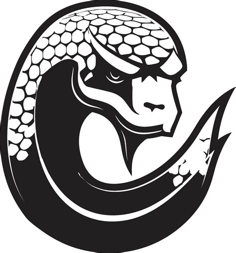 Image result for Blue Python Vector Design