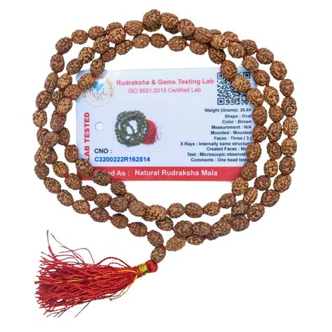 Apnisanskriti 3 Mukhi Rudraksha Beads Mala (108 Beads, 3 Faces, Lab ...