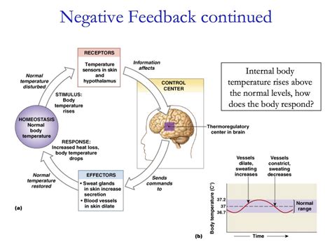 Feedback Mechanism Worksheet | Ks2 Maths Worksheets
