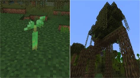 Image result for Minecraft Mangrove Tree Farm Create Mod
